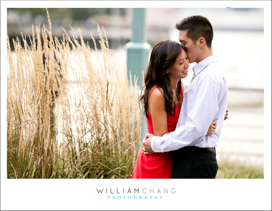 battery_park_engagement_photos_8