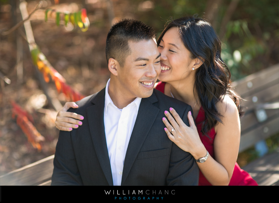 Dumbo Brooklyn Bridge Park Engagement Photos | Lisa + David