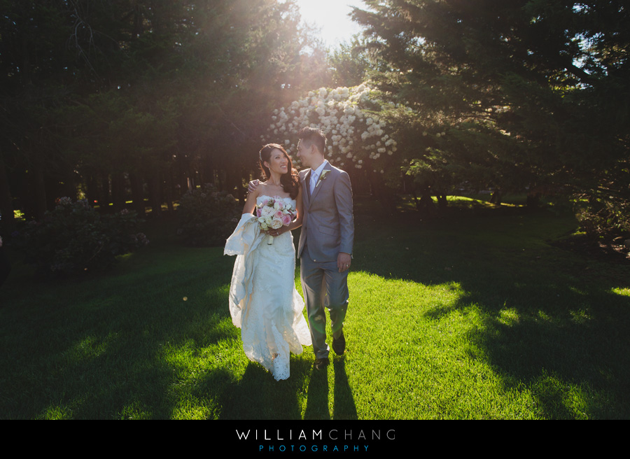 flowerfield celebrations wedding photo