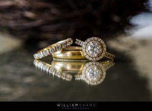 Philander Chase Knox Estate wedding photos