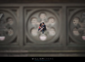 Central Park engagement photos